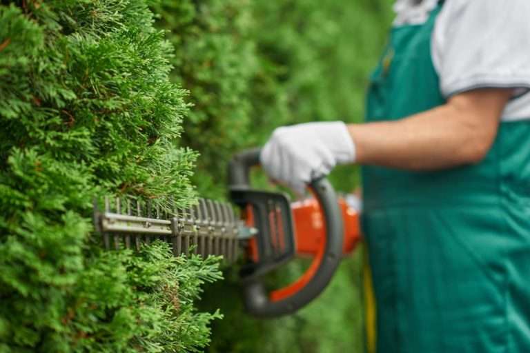 Nahaufnahme eines Arbeiters, der mit einer orangefarbenen Heckenschere eine Hecke in Form schneidet